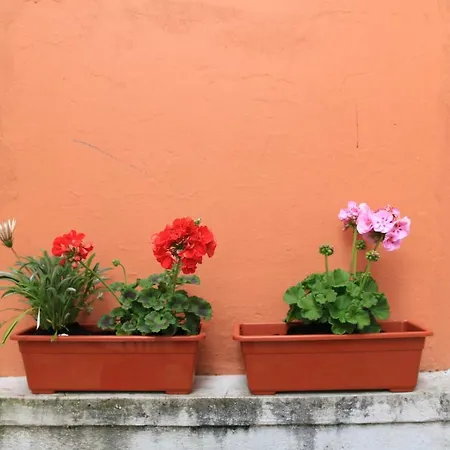 Casa Da Baixinha - Unesco World Heritage Коимбра