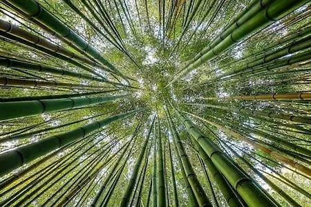 Casa Da Baixinha - Unesco World Heritage Апартаменты Коимбра