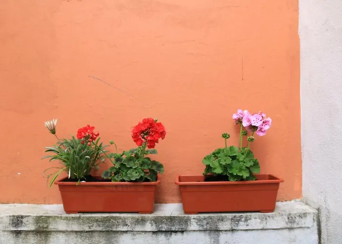 Casa Da Baixinha - Unesco World Heritage 科英布拉