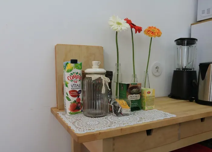 Casa Da Baixinha - Unesco World Heritage * 科英布拉