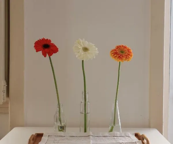 公寓 Casa Da Baixinha - Unesco World Heritage *